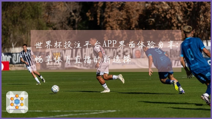 世界杯投注平台APP界面体验分享：畅享体育直播的新选择