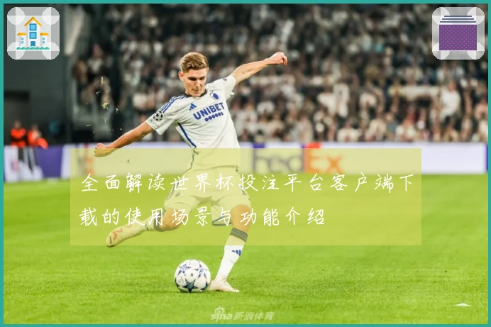 全面解读世界杯投注平台客户端下载的使用场景与功能介绍