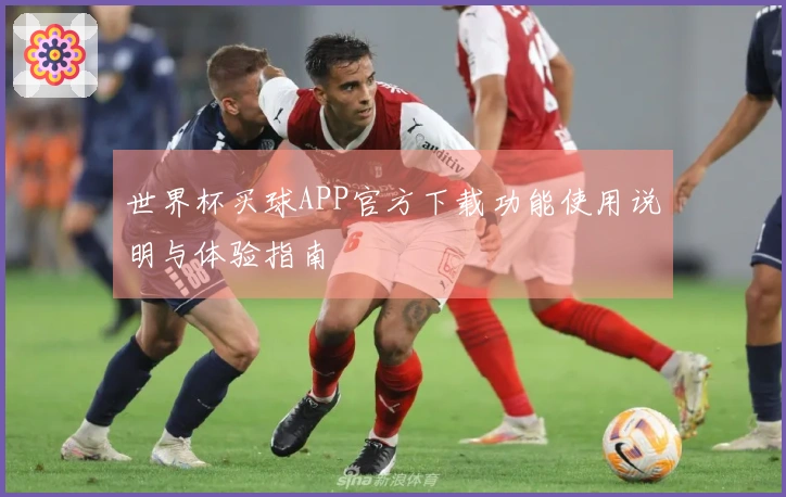 世界杯买球APP官方下载功能使用说明与体验指南