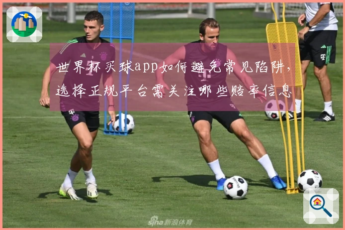 世界杯买球app如何避免常见陷阱，选择正规平台需关注哪些赔率信息