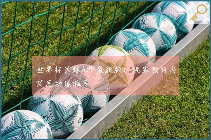 世界杯买球APP最新版：玩家测评与实用功能推荐
