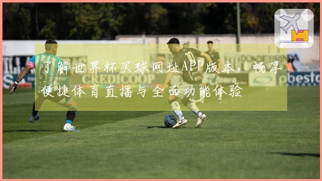 了解世界杯买球网址APP版本，畅享便捷体育直播与全面功能体验