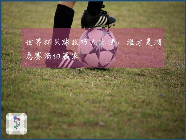 世界杯买球技巧大比拼，谁才是洞悉赛场的赢家