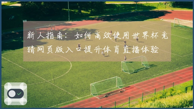 新人指南：如何高效使用世界杯竞猜网页版入口提升体育直播体验