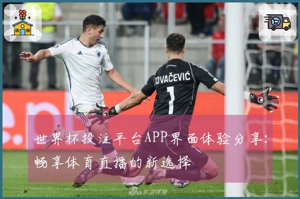世界杯投注平台APP界面体验分享:畅享体育直播的新选择