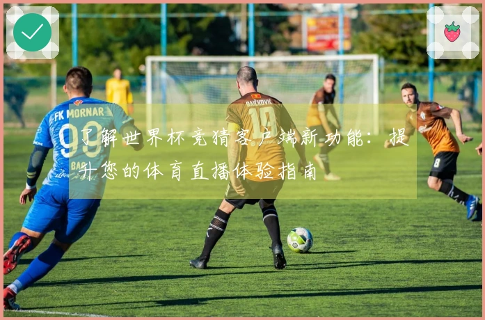 了解世界杯竞猜客户端新功能：提升您的体育直播体验指南