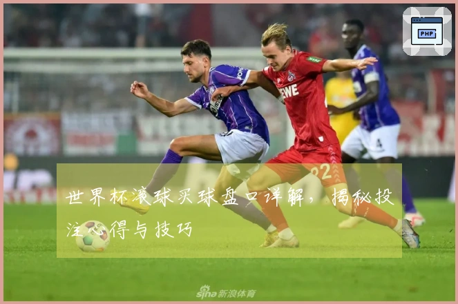 世界杯滚球买球盘口详解，揭秘投注心得与技巧
