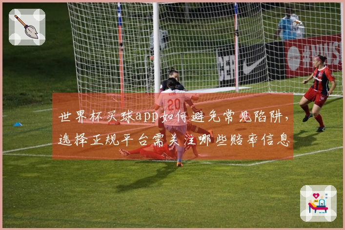 世界杯买球app如何避免常见陷阱，选择正规平台需关注哪些赔率信息