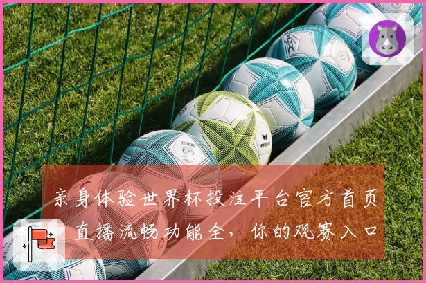 亲身体验世界杯投注平台官方首页，直播流畅功能全，你的观赛入口指南