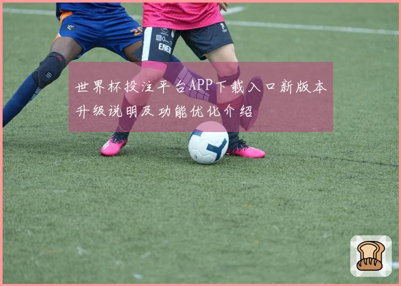 世界杯投注平台APP下载入口新版本升级说明及功能优化介绍