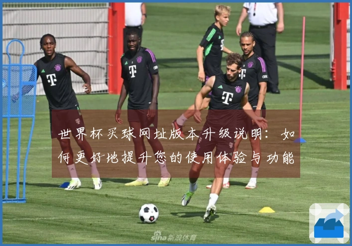 世界杯买球网址版本升级说明：如何更好地提升您的使用体验与功能指南