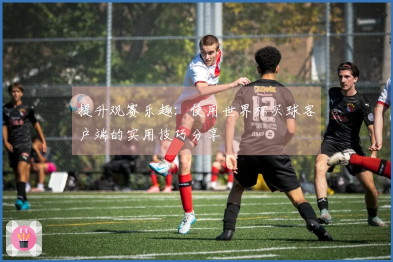 提升观赛乐趣：使用世界杯买球客户端的实用技巧分享