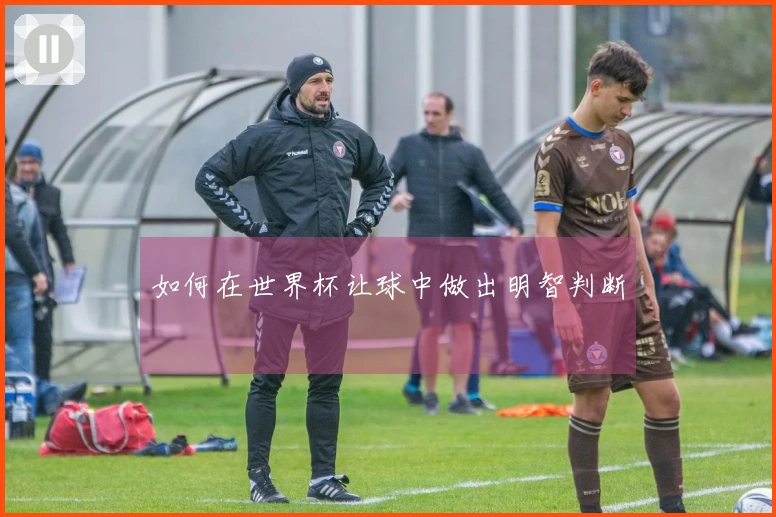 如何在世界杯让球中做出明智判断