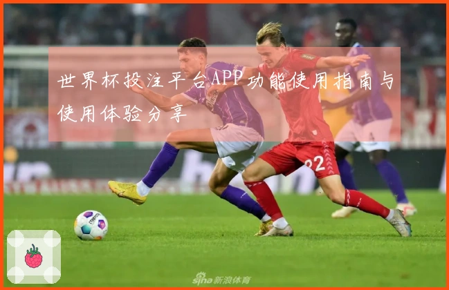 世界杯投注平台APP功能使用指南与使用体验分享